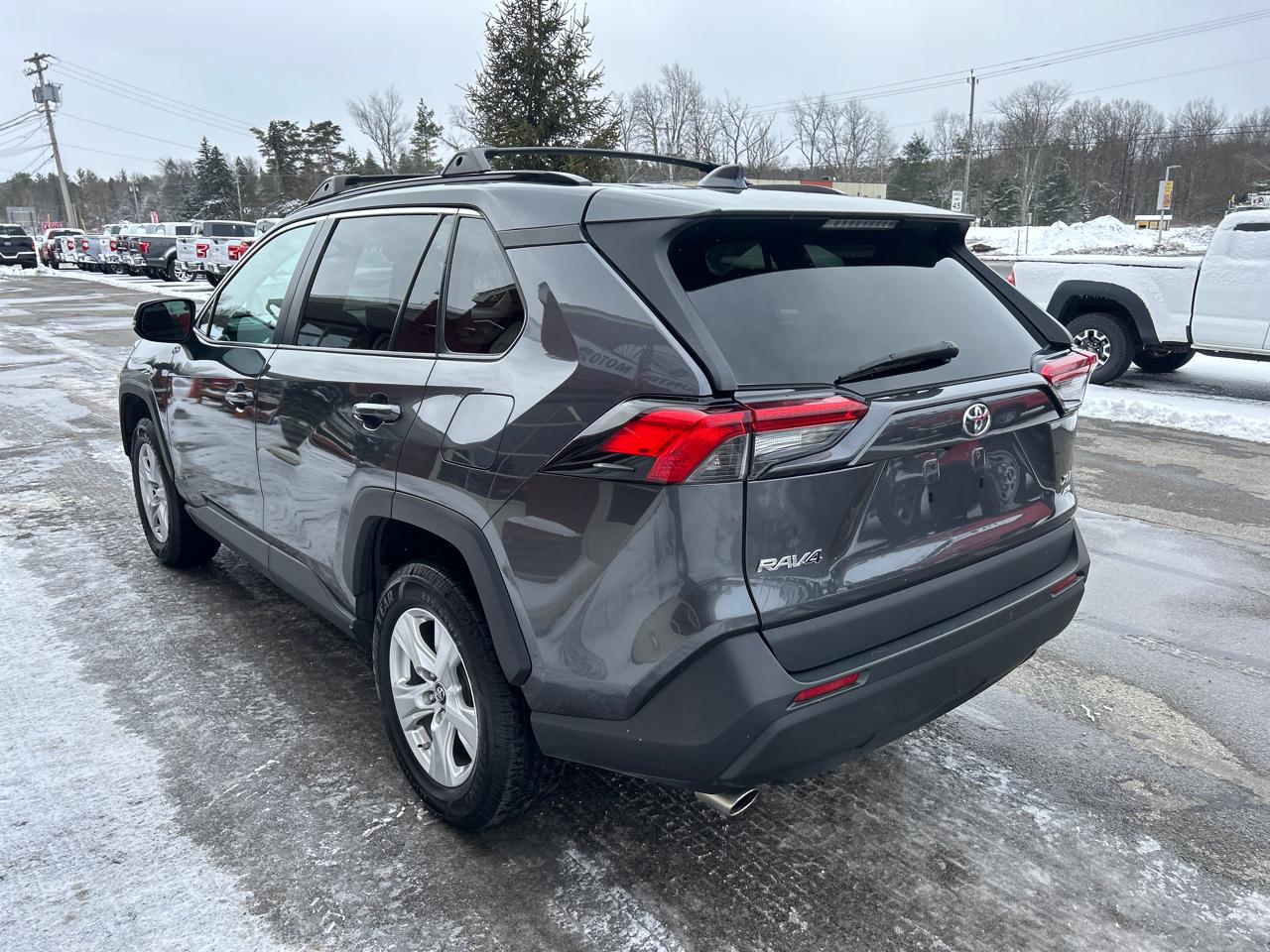 Toyota RAV4 XLE AWD (Natl) 2019