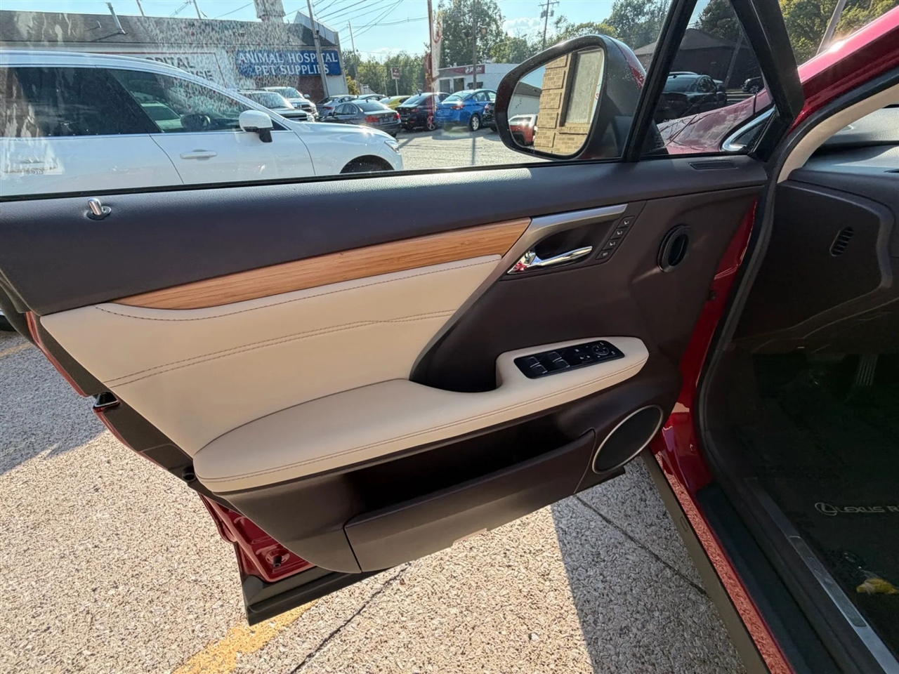 2017 Lexus RX 350 photo 19