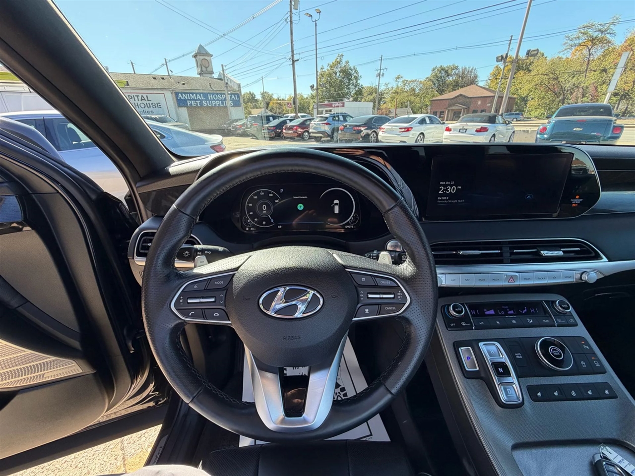 Hyundai Palisade Calligraphy FWD 2022 Hyundai Palisade Calligraphy FWD 2022