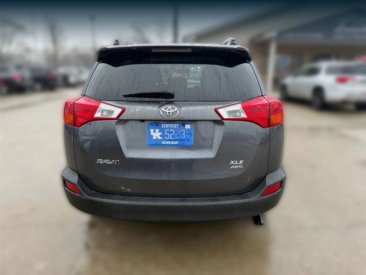 2015 Toyota RAV4 XLE photo 4