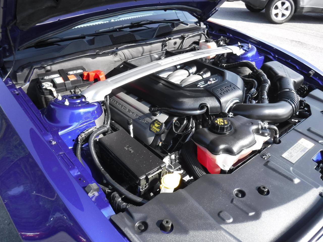 Ford Mustang 2dr Cpe GT 2013