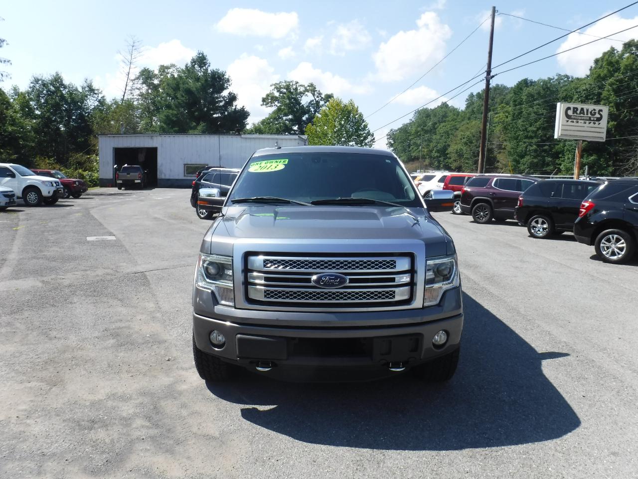 Ford F-150 4WD SuperCrew 145" Platinum 2013
