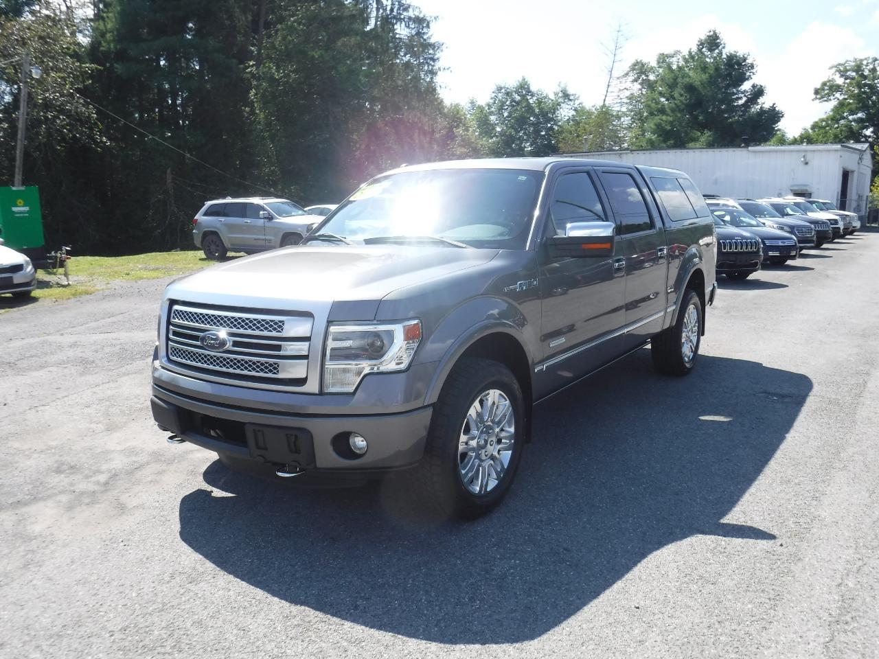 Ford F-150 4WD SuperCrew 145" Platinum 2013