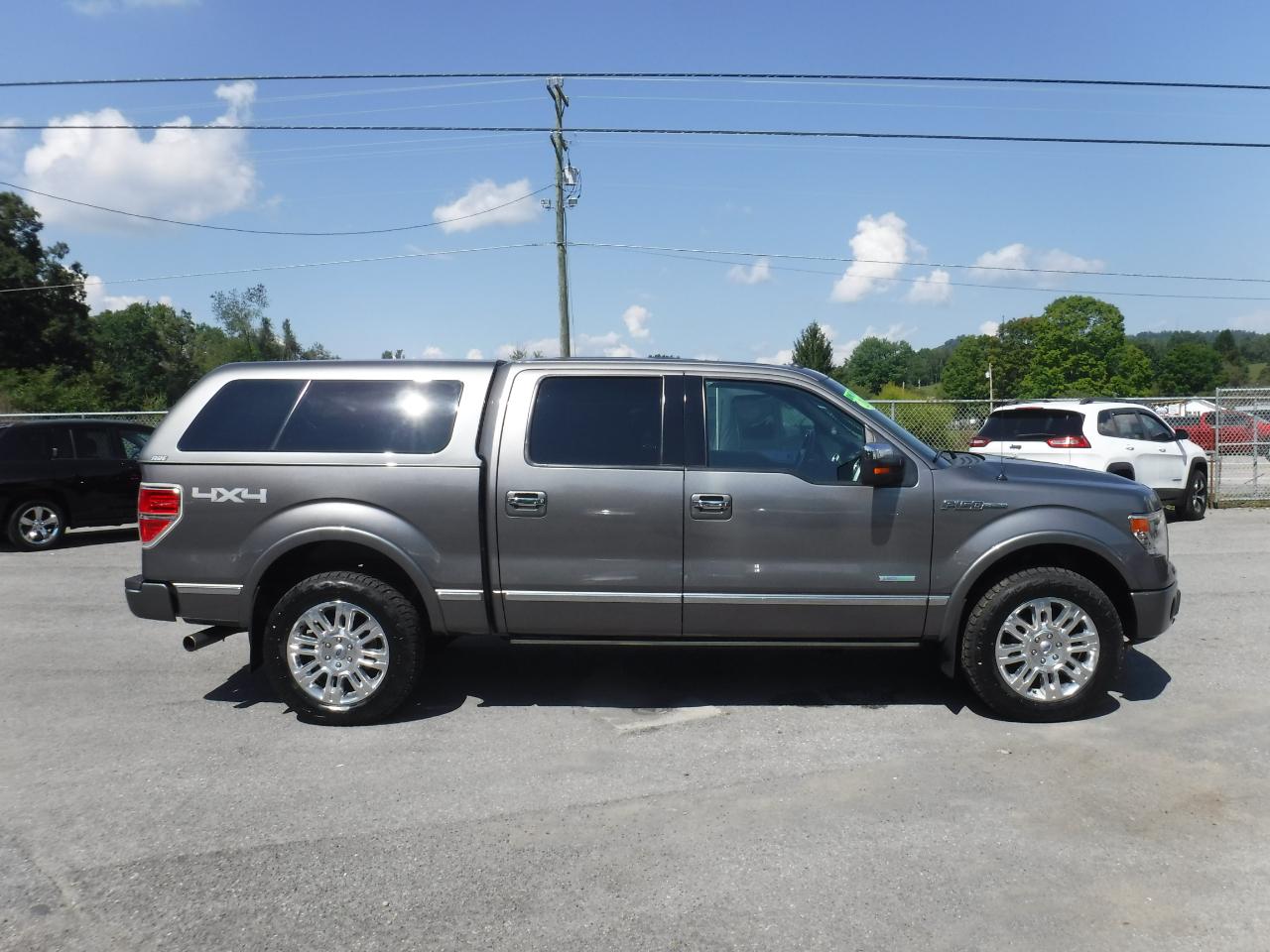 Ford F-150 4WD SuperCrew 145" Platinum 2013