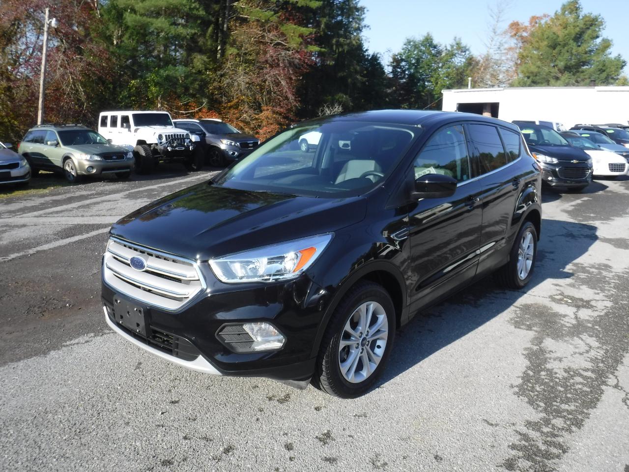 Ford Escape SE 4WD 2019