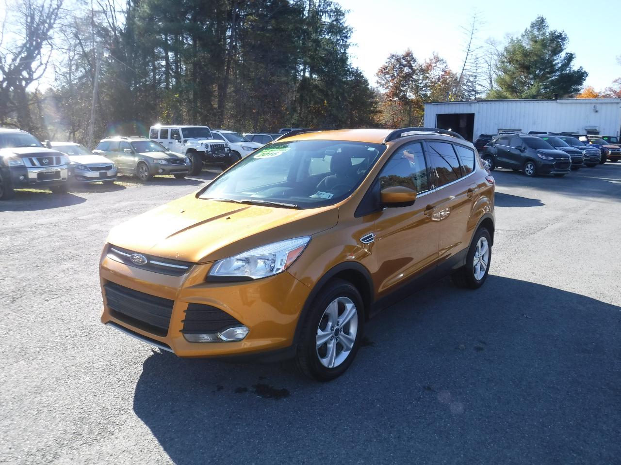 Ford Escape 4WD 4dr SE 2016