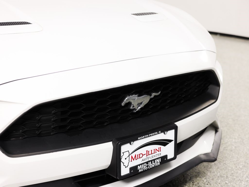 Ford Mustang EcoBoost Fastback 2021