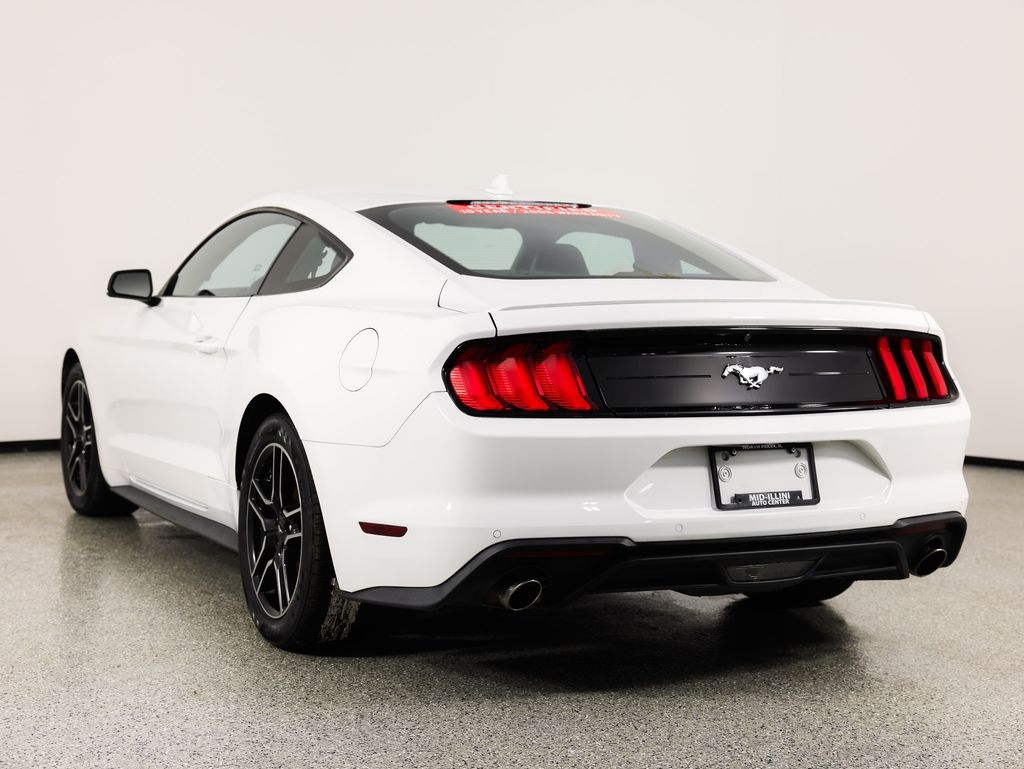 Ford Mustang EcoBoost Fastback 2021