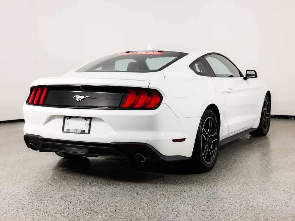 Ford Mustang EcoBoost Fastback 2021