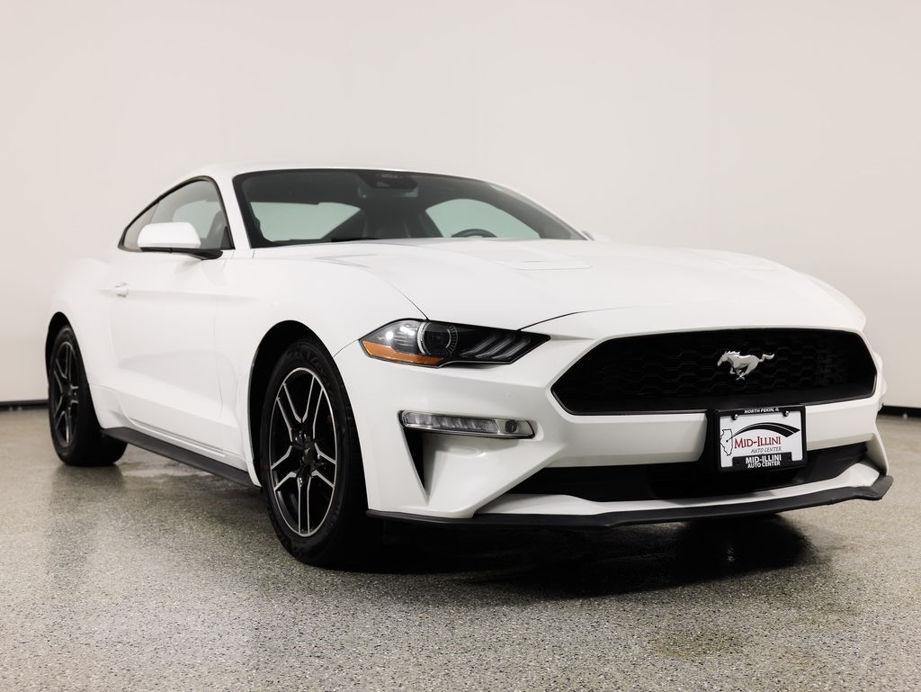 Ford Mustang EcoBoost Fastback 2021