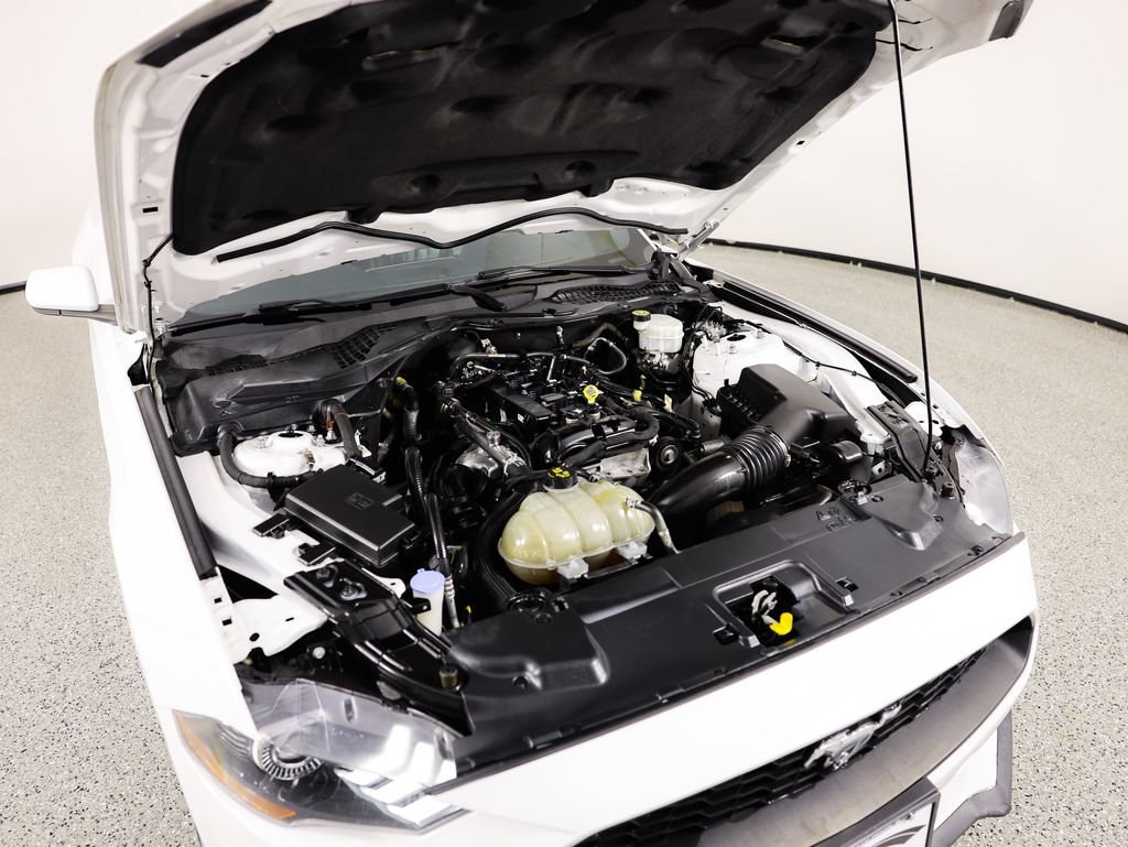 Ford Mustang EcoBoost Fastback 2021