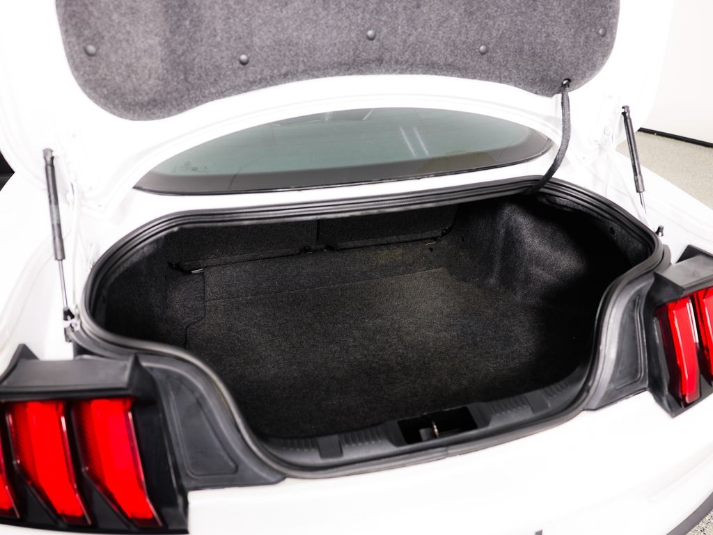 Ford Mustang EcoBoost Fastback 2021