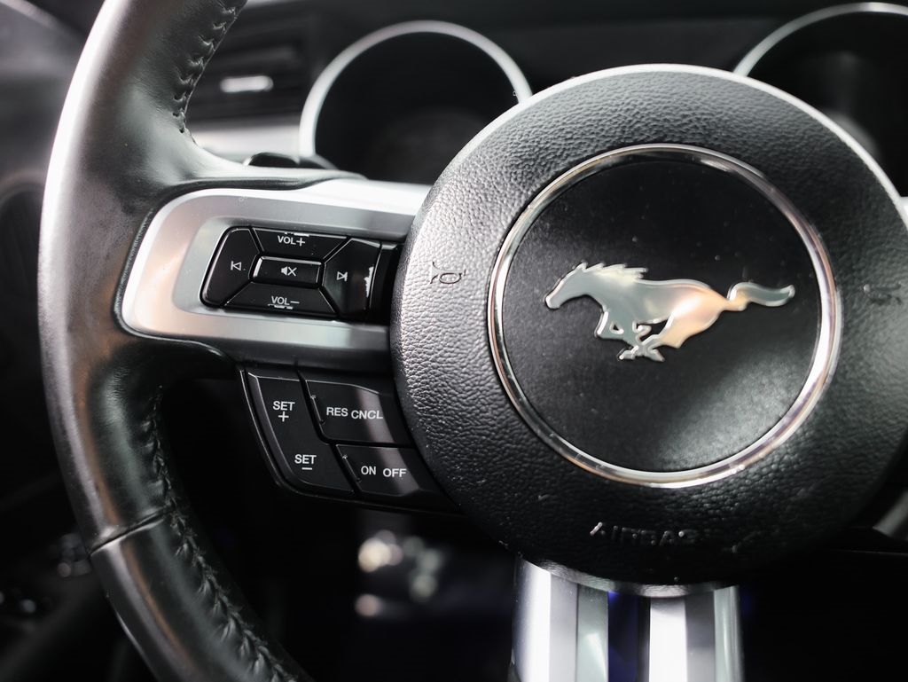 Ford Mustang EcoBoost Fastback 2021