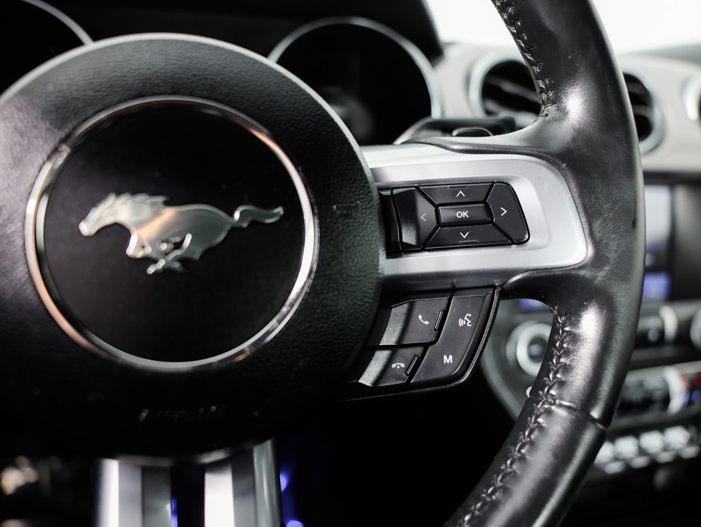 Ford Mustang EcoBoost Fastback 2021