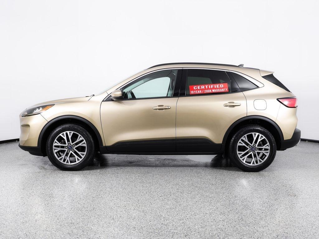 Ford Escape SEL AWD 2021