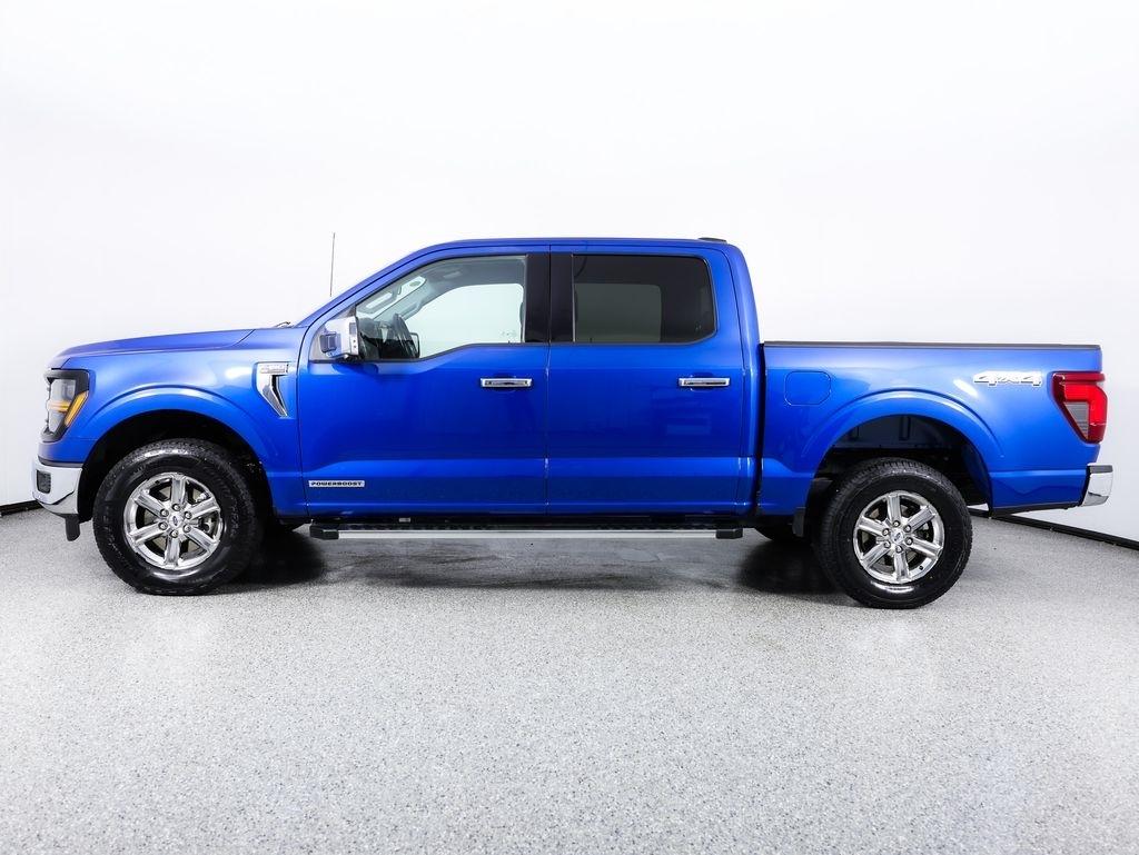 Ford F-150 XLT 4WD SuperCrew 5.5' Box 2025