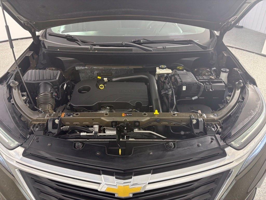 Chevrolet Equinox FWD 4dr LT w/1LT 2023