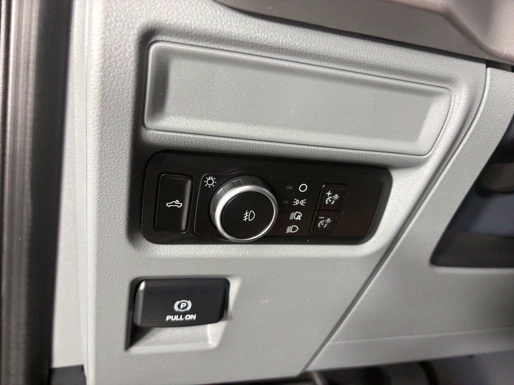 Ford F-150 XLT 4WD SuperCrew 5.5' Box 2023
