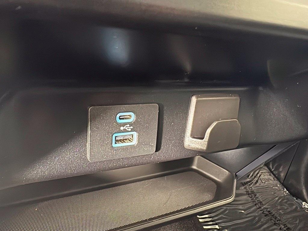 Ford F-150 XLT 4WD SuperCrew 5.5' Box 2023