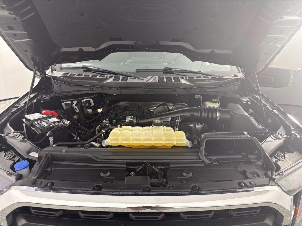 Ford F-150 XLT 4WD SuperCrew 5.5' Box 2023