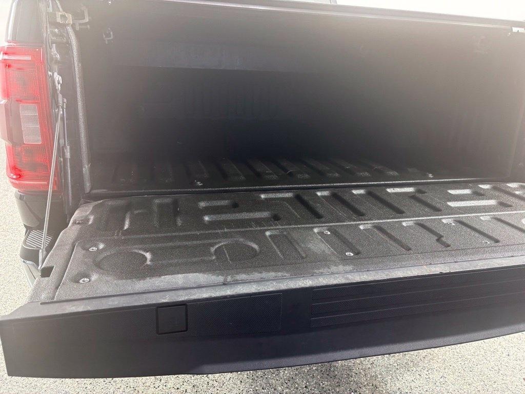 Ford F-150 XLT 4WD SuperCrew 5.5' Box 2023