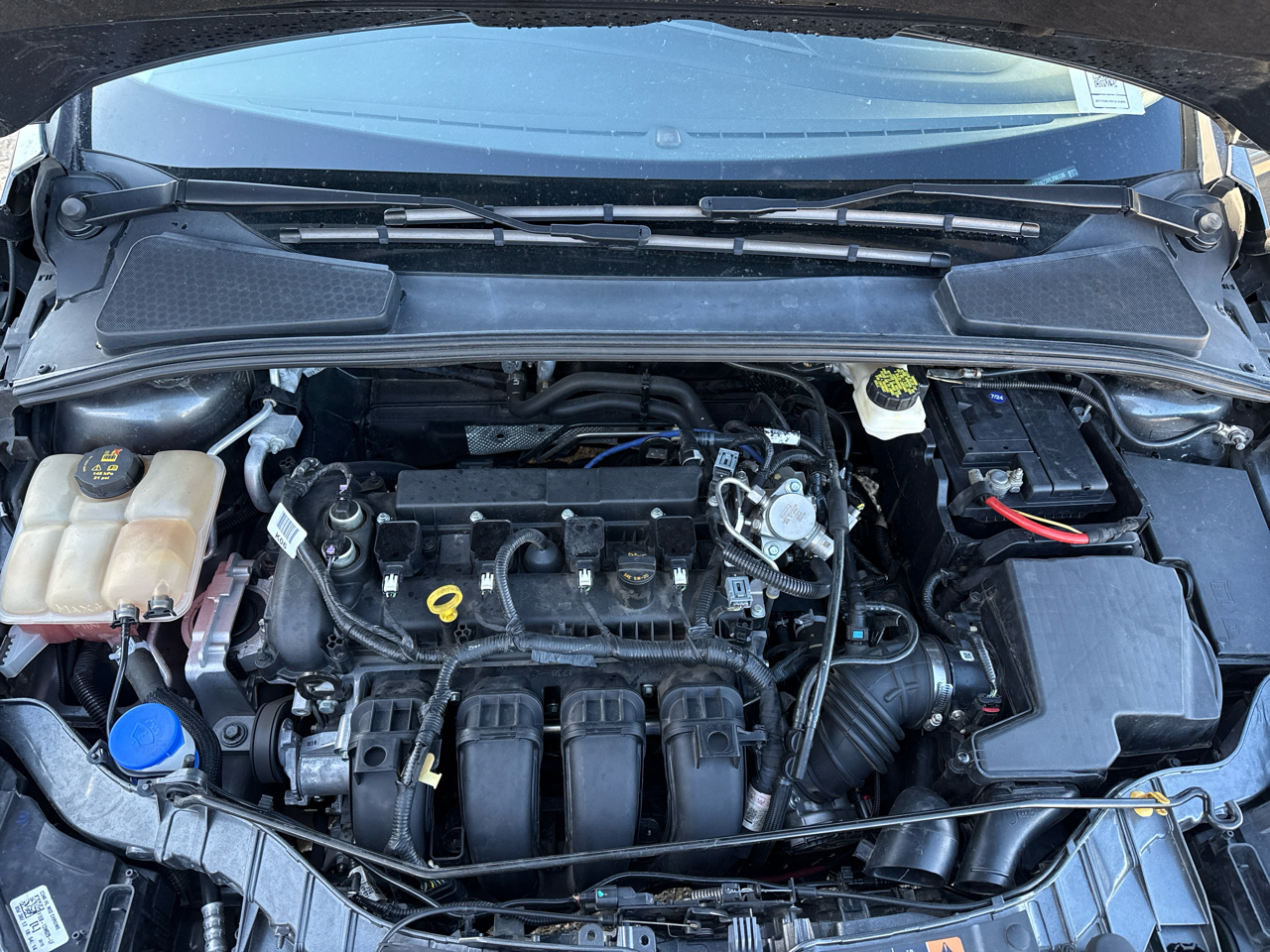 Ford Focus Titanium Hatch 2017