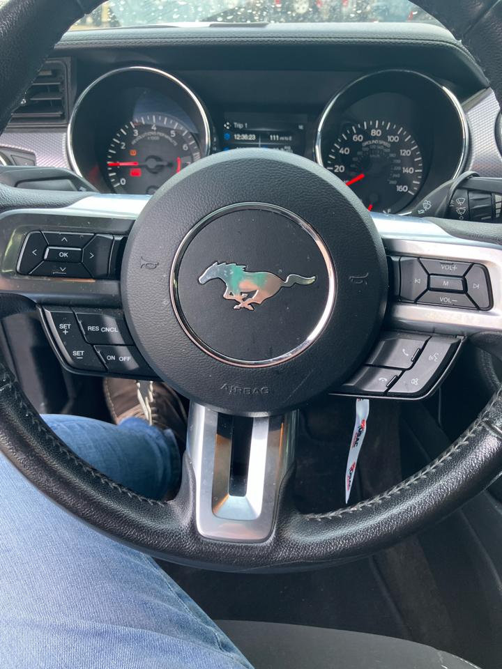 Ford Mustang EcoBoost Coupe 2016