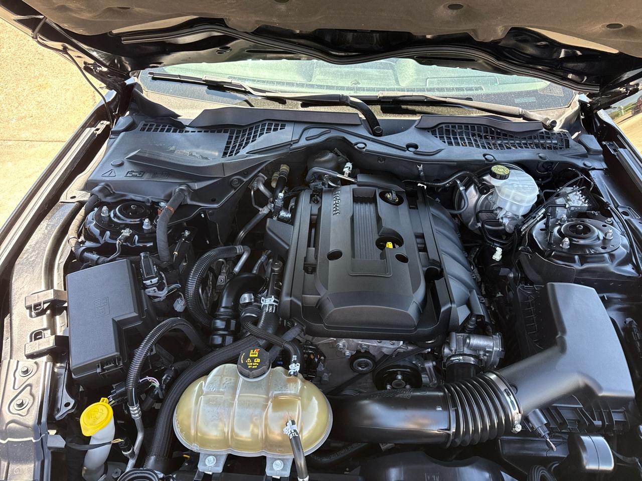 Ford Mustang EcoBoost Coupe 2019