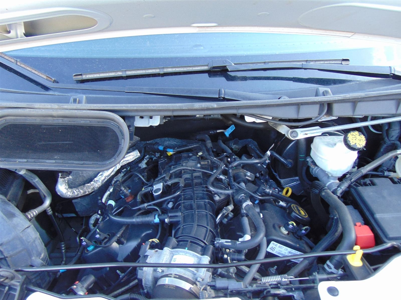 Ford Transit Passenger Wagon  2023