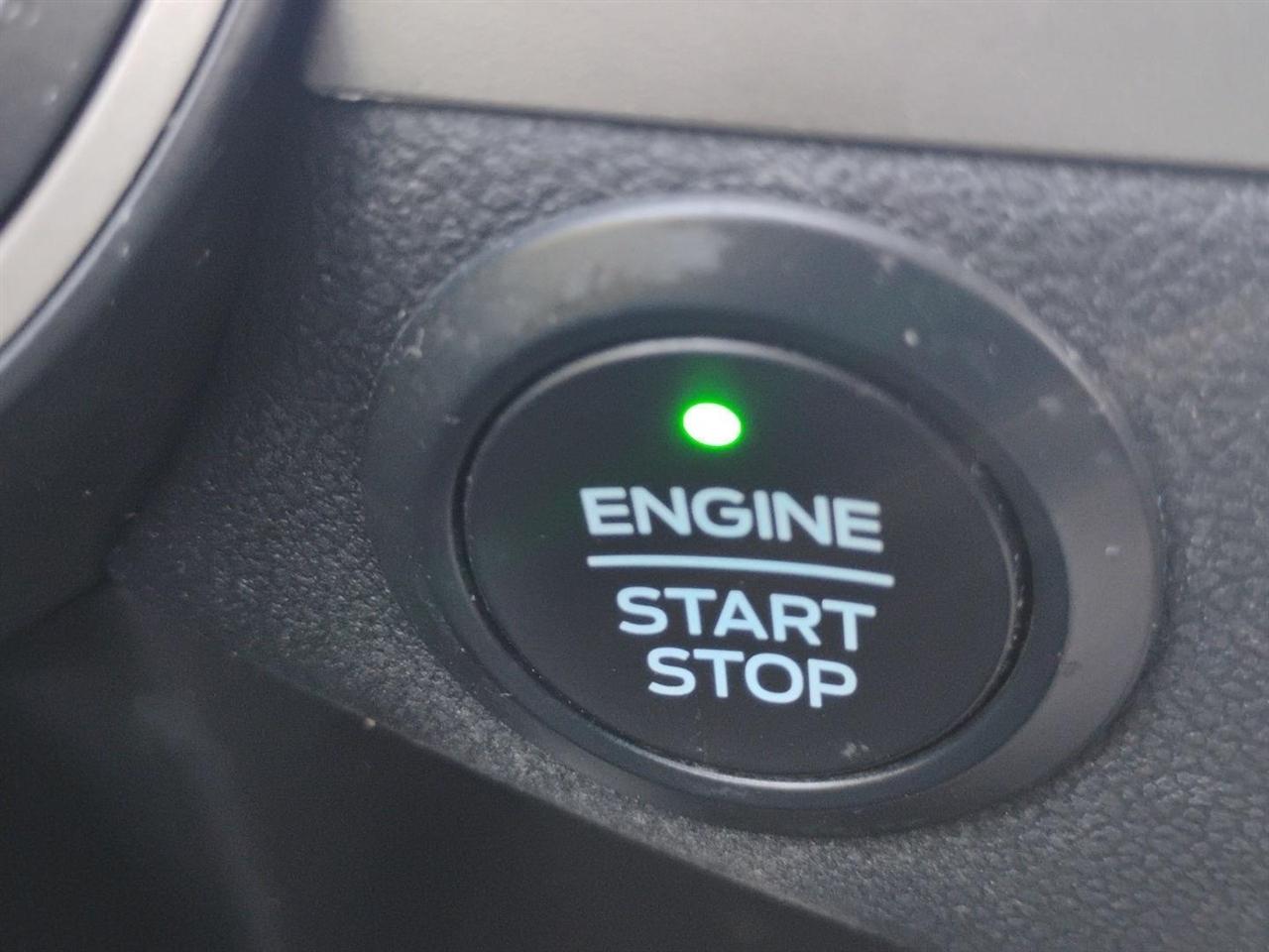 Ford Escape  2020