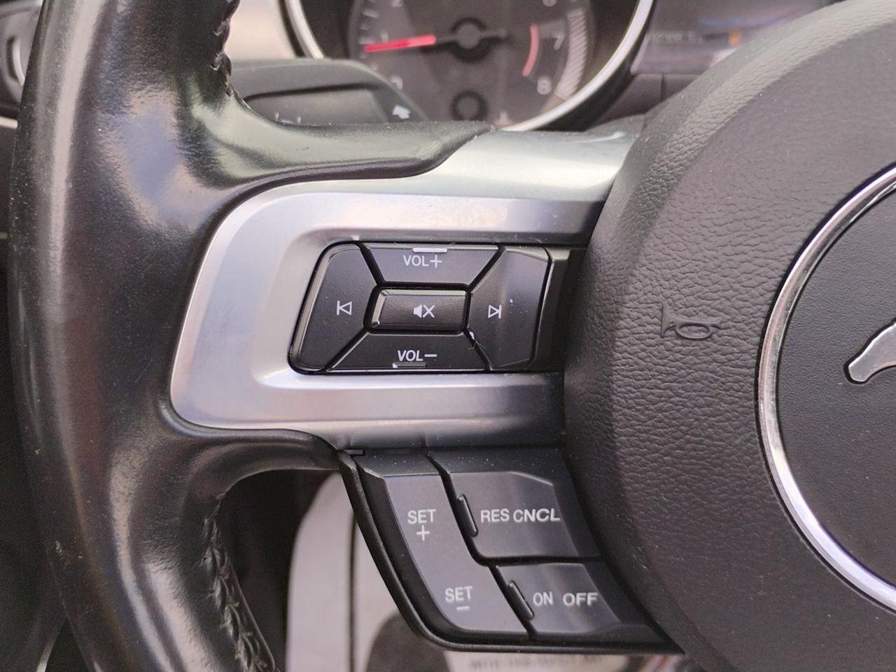 Ford Mustang  2022