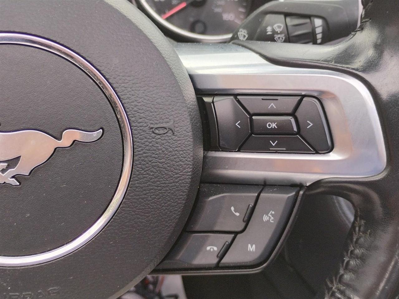 Ford Mustang  2022