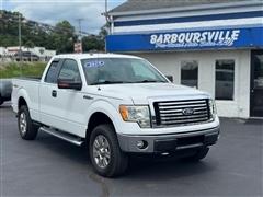 2010 Ford F-150 
