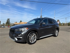2017 BMW X1 