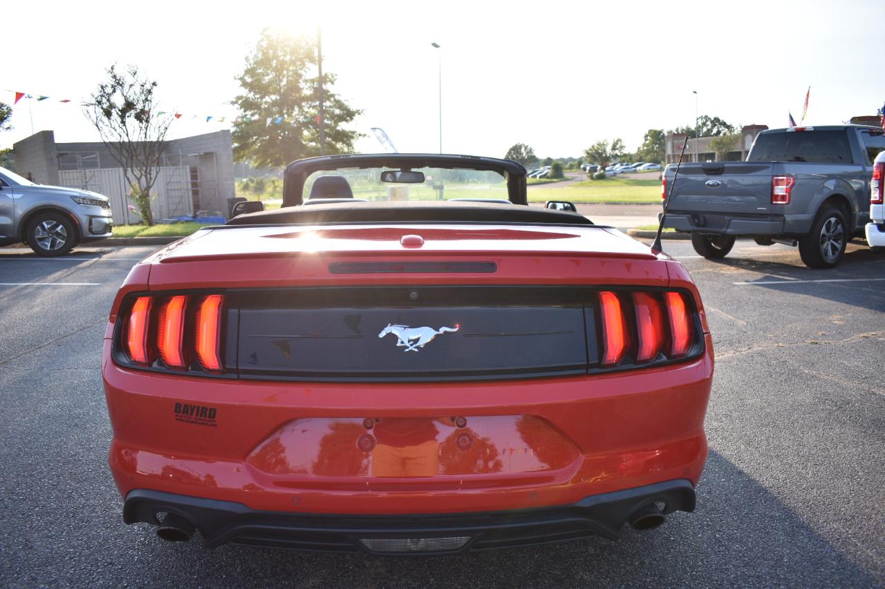 Ford Mustang EcoBoost Convertible 2019