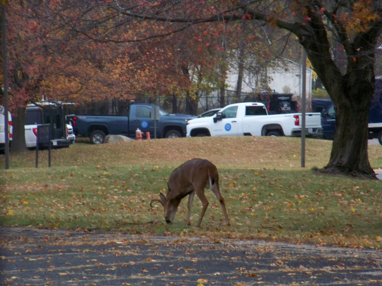 Nissan Sentra SV 4D Sedan 2018
