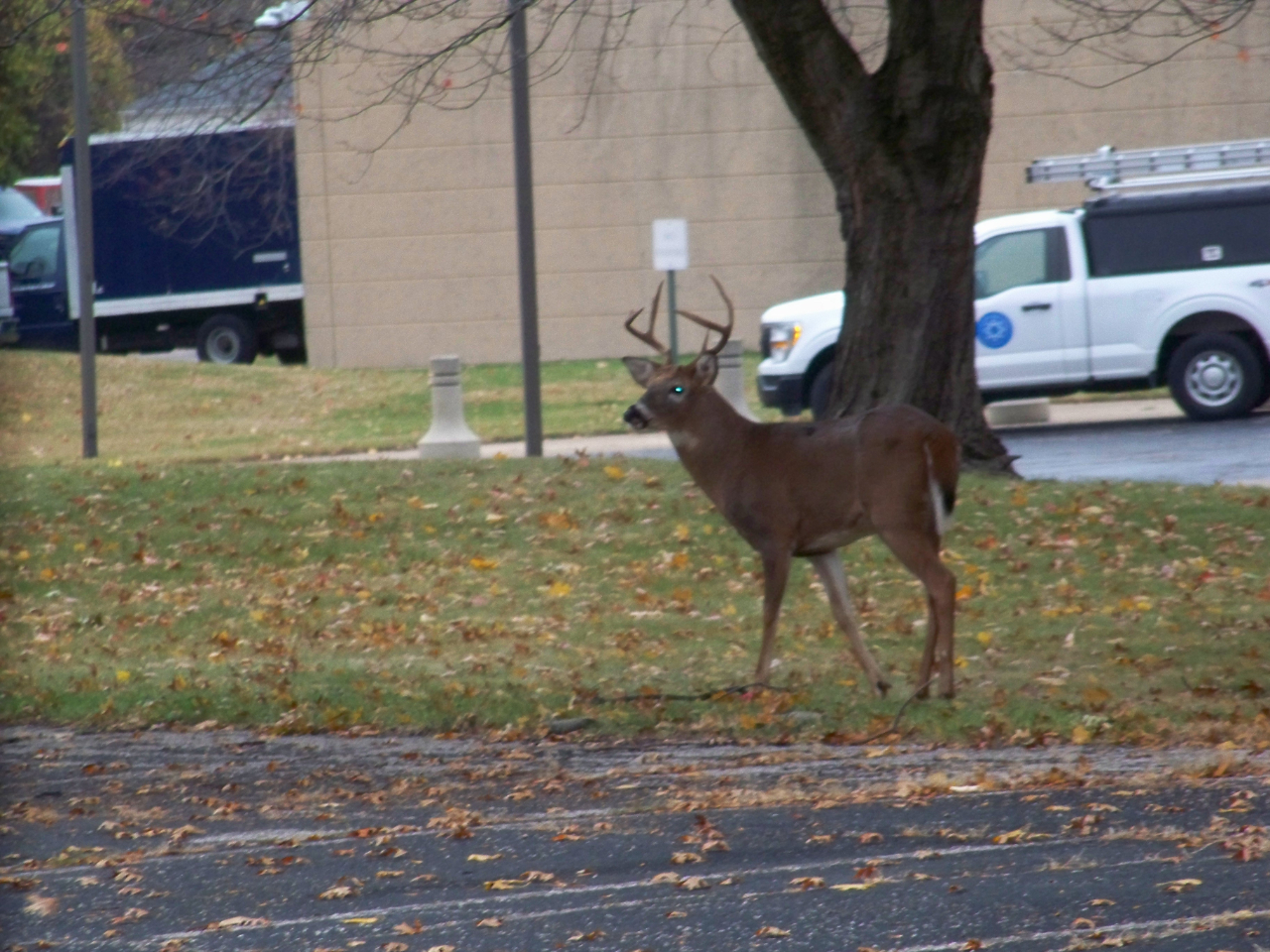 Nissan Sentra SV 4D Sedan 2018