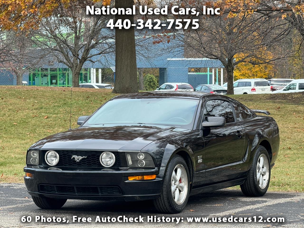 2008 Ford Mustang GT Deluxe