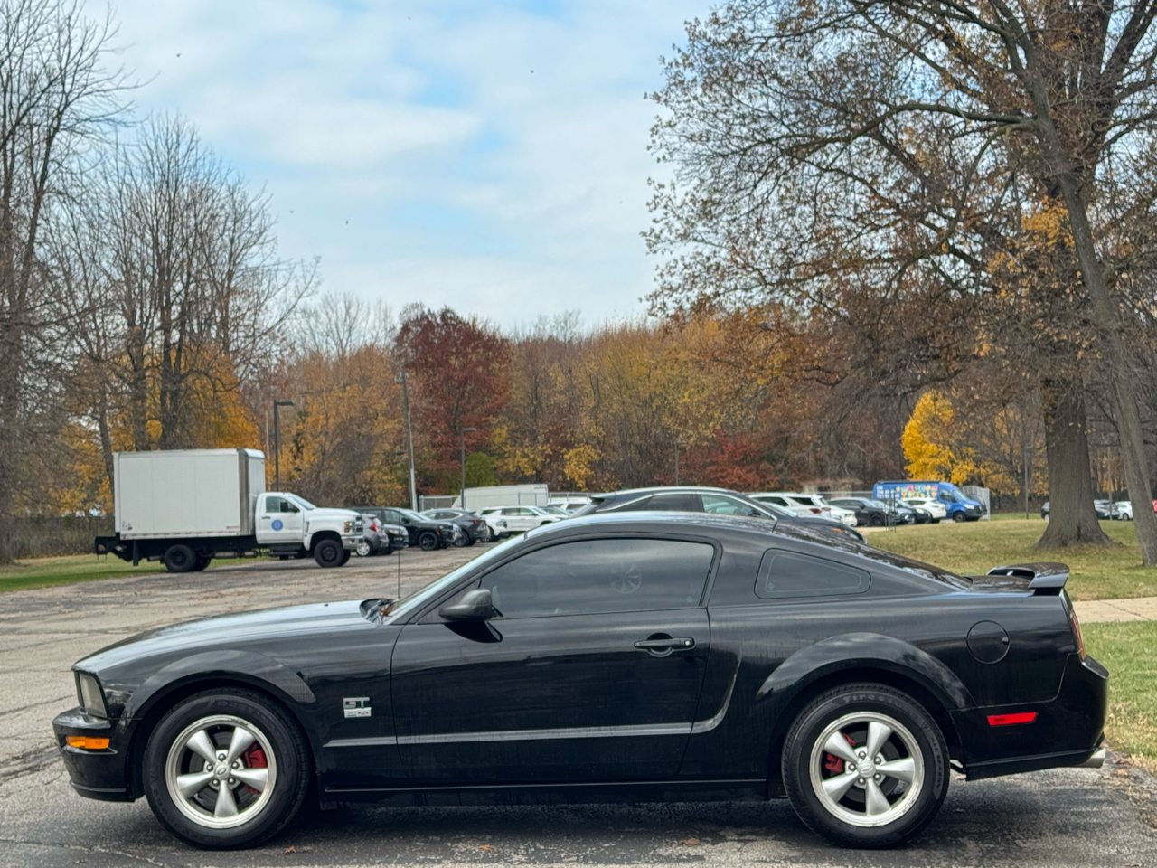 2008 Ford Mustang GT Deluxe photo 3