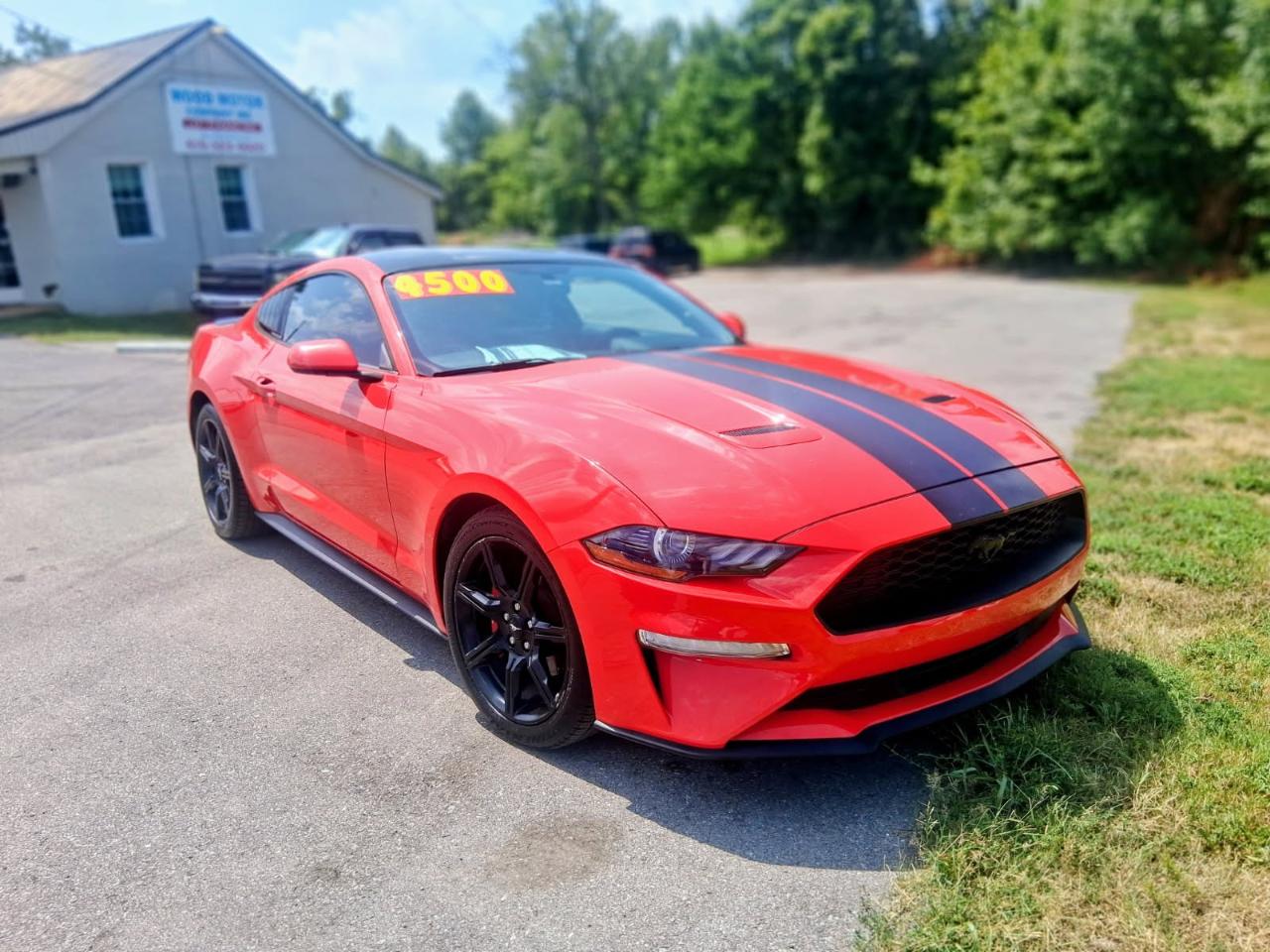 Ford Mustang EcoBoost Fastback 2019