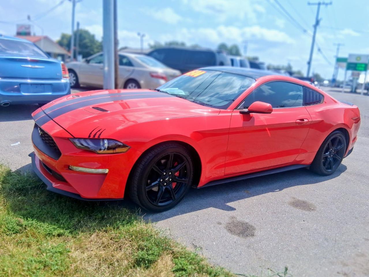 Ford Mustang EcoBoost Fastback 2019