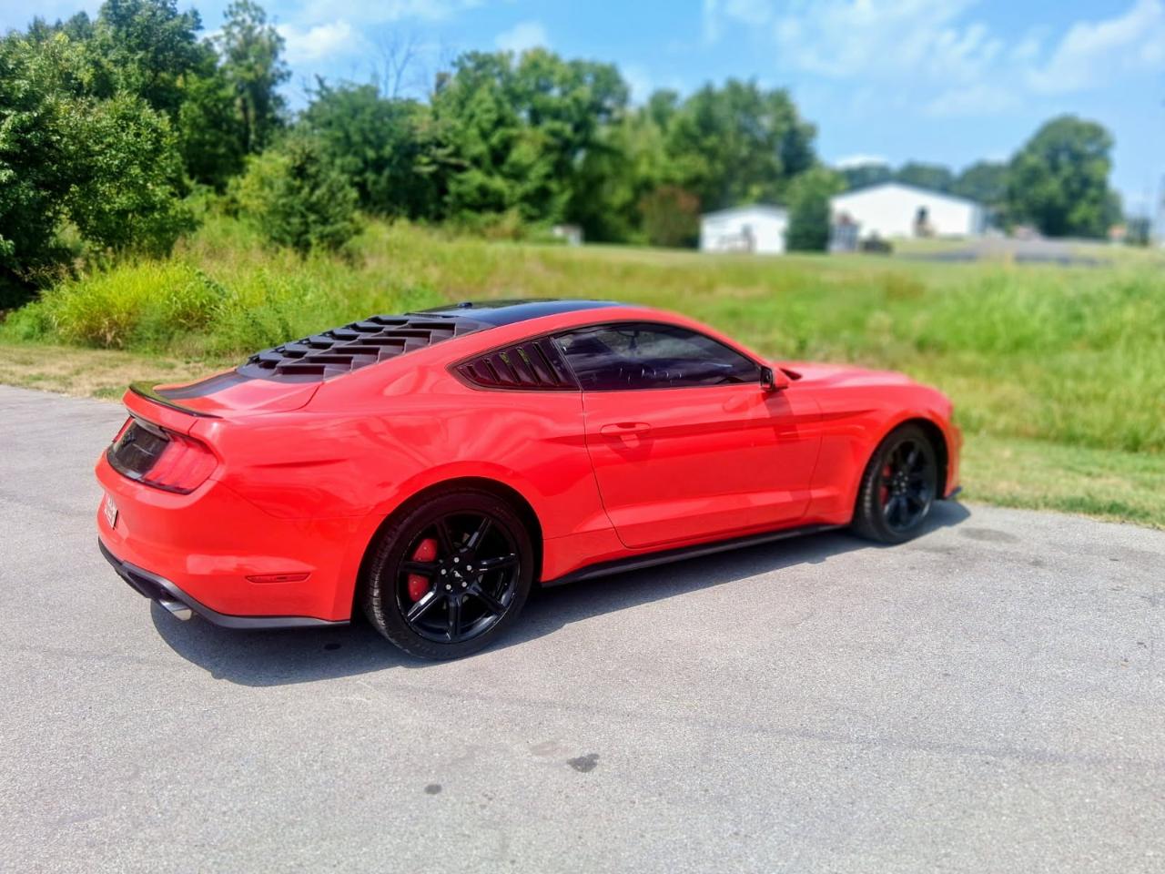 Ford Mustang EcoBoost Fastback 2019