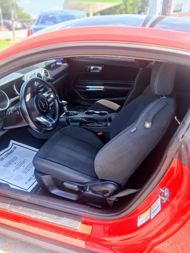 Ford Mustang EcoBoost Fastback 2019