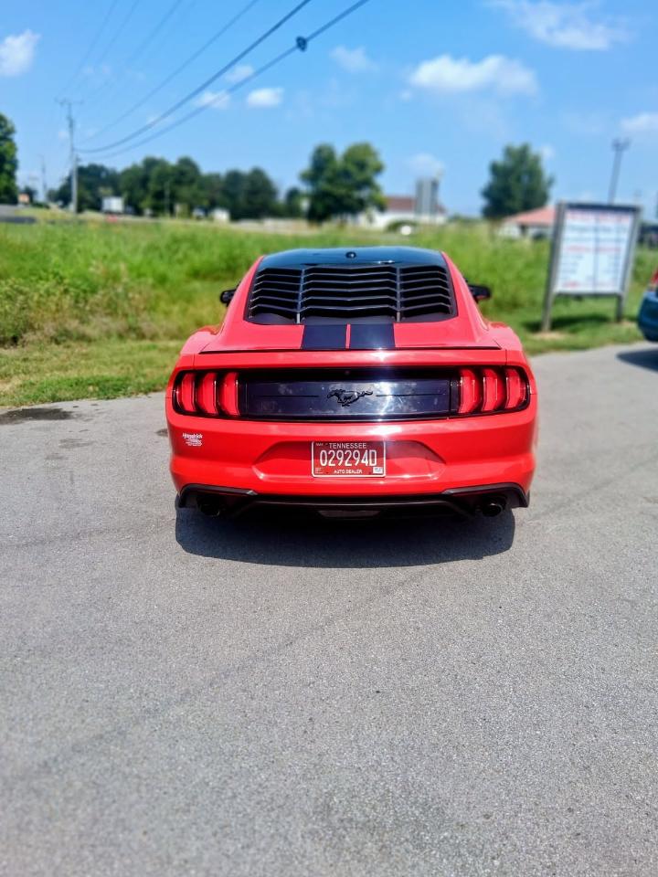 Ford Mustang EcoBoost Fastback 2019