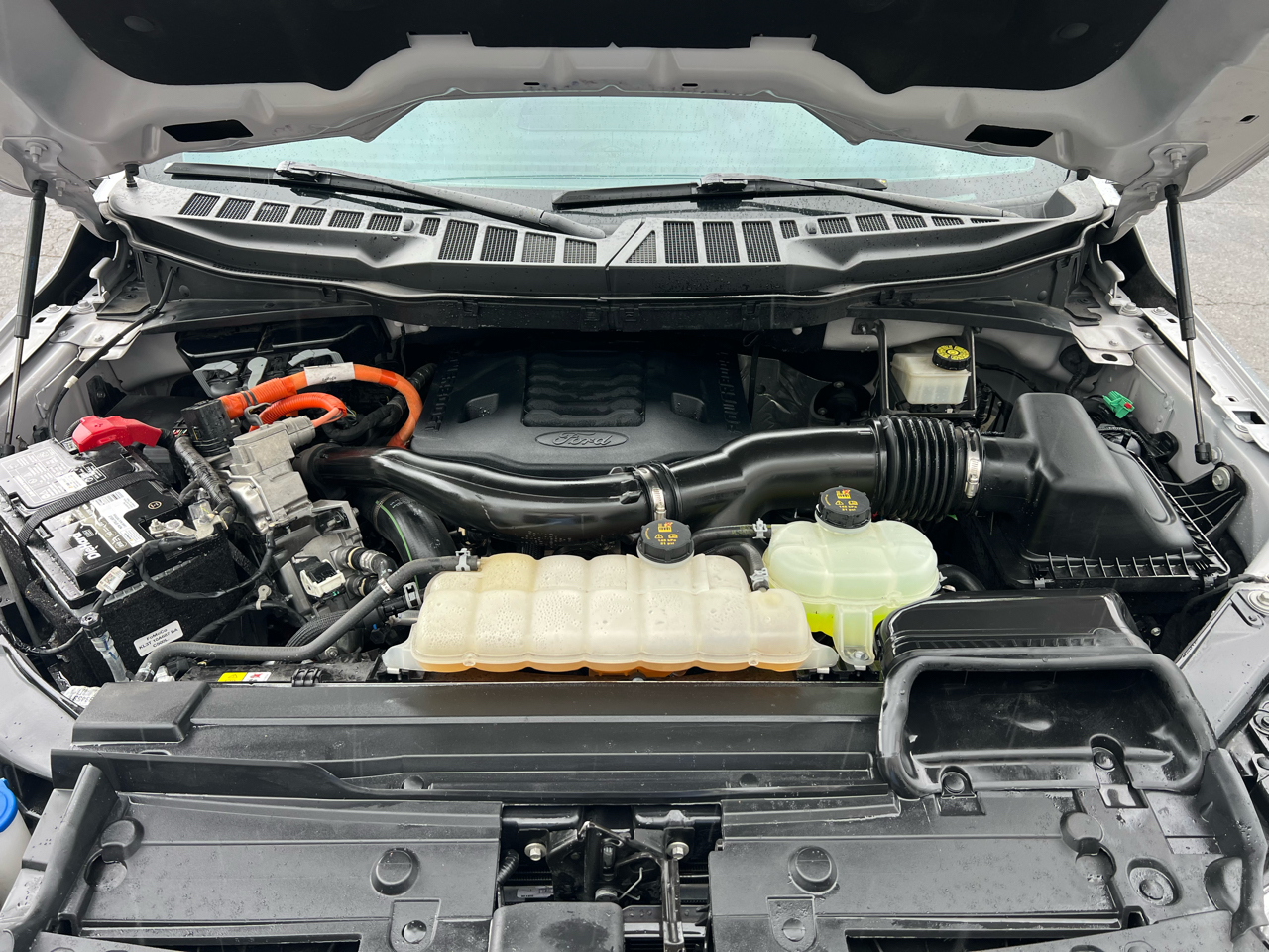 Ford F-150 XL SuperCrew 6.5-ft. Bed 4WD 2022