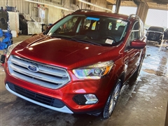2019 Ford Escape  2019 Ford Escape