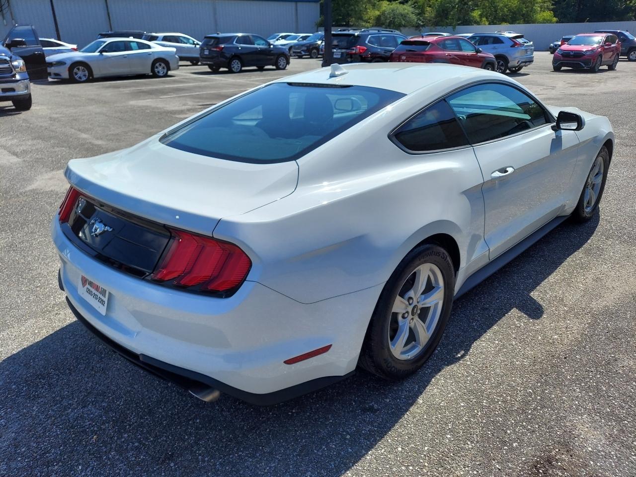Ford Mustang EcoBoost Coupe 2022