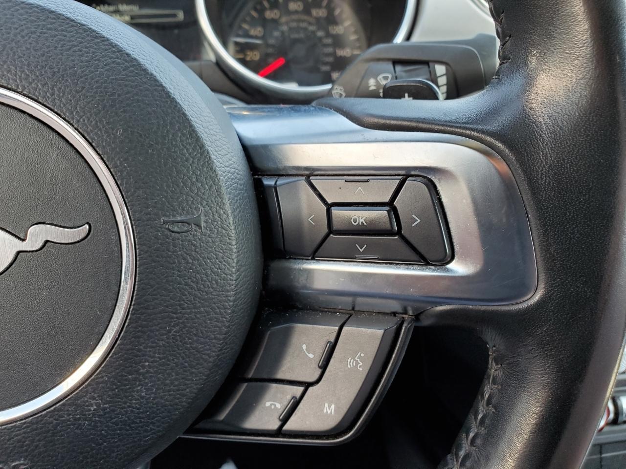 Ford Mustang EcoBoost Premium Coupe 2020