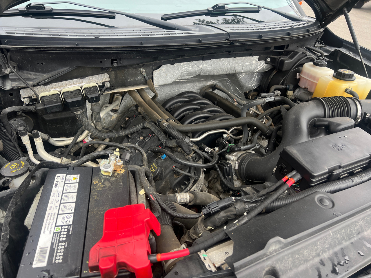 Ford F-150 4WD SuperCrew 145" FX4 2013