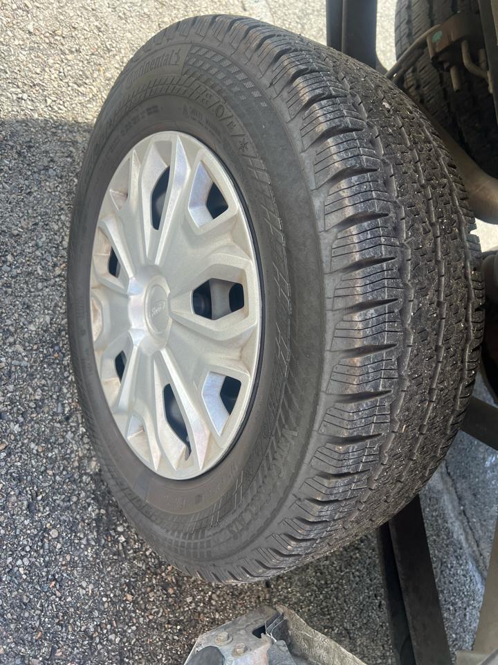 Ford Transit Cargo Van T-250 130" Low Rf 9070 GVWR RWD 2024